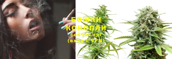PSILOCYBIN Новокубанск