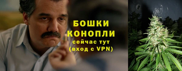 PSILOCYBIN Новокубанск
