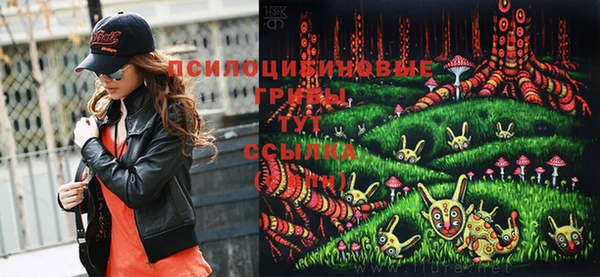 бутират Новозыбков