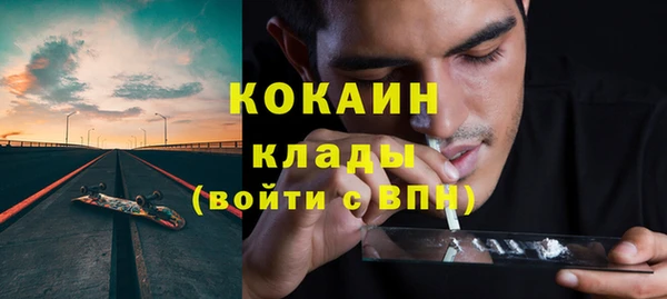 PSILOCYBIN Новокубанск