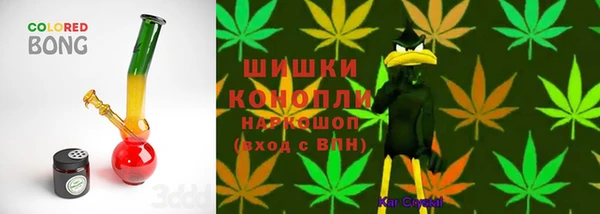 PSILOCYBIN Новокубанск