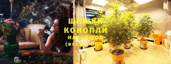 PSILOCYBIN Новокубанск