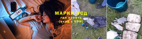 PSILOCYBIN Новокубанск